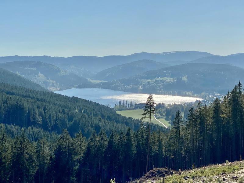 Hotel Zartenbach Hinterzarten Kültér fotó