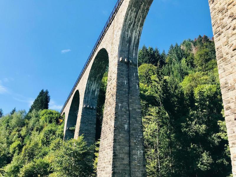 Hotel Zartenbach Hinterzarten Kültér fotó