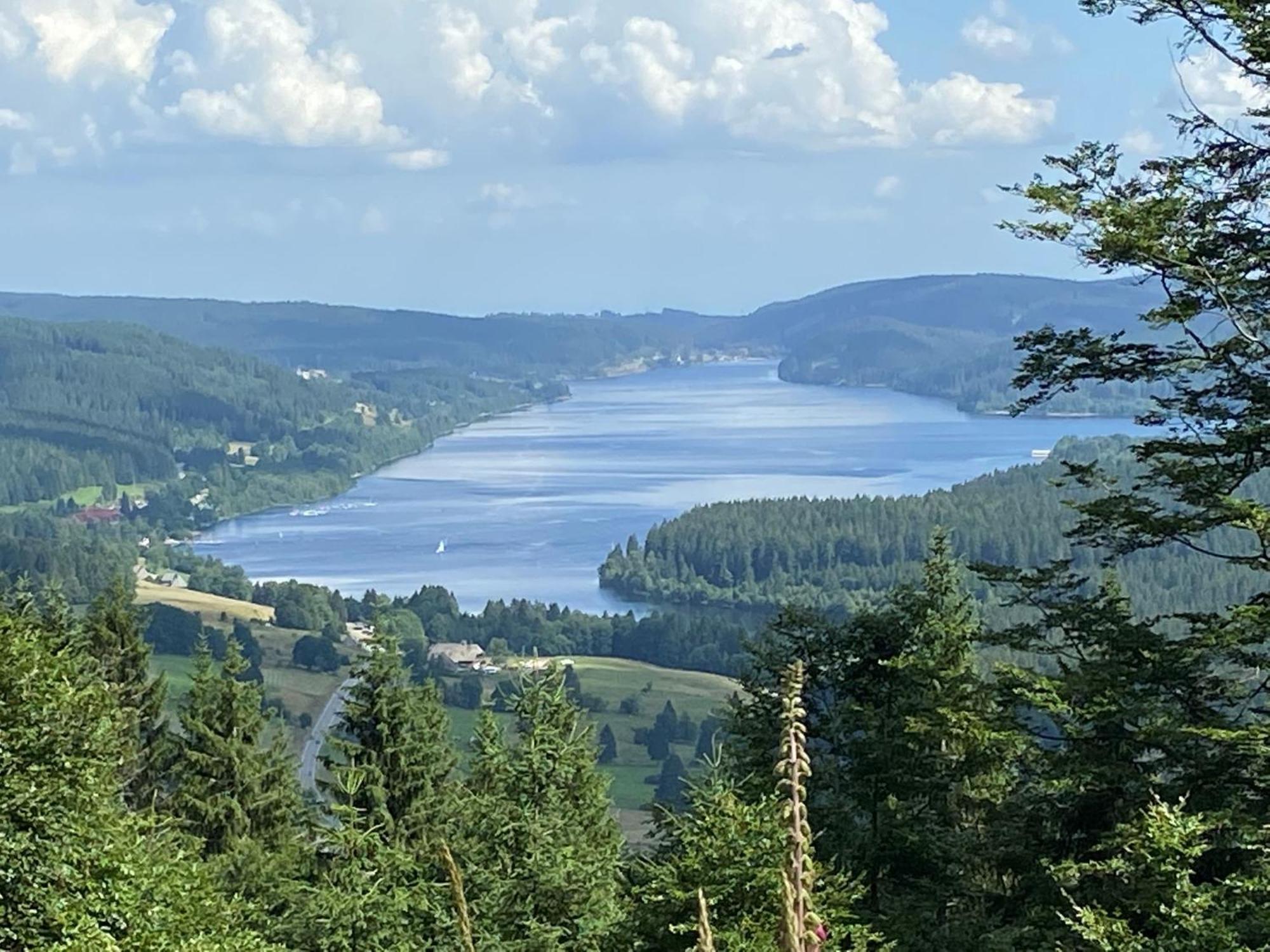 Hotel Zartenbach Hinterzarten Kültér fotó