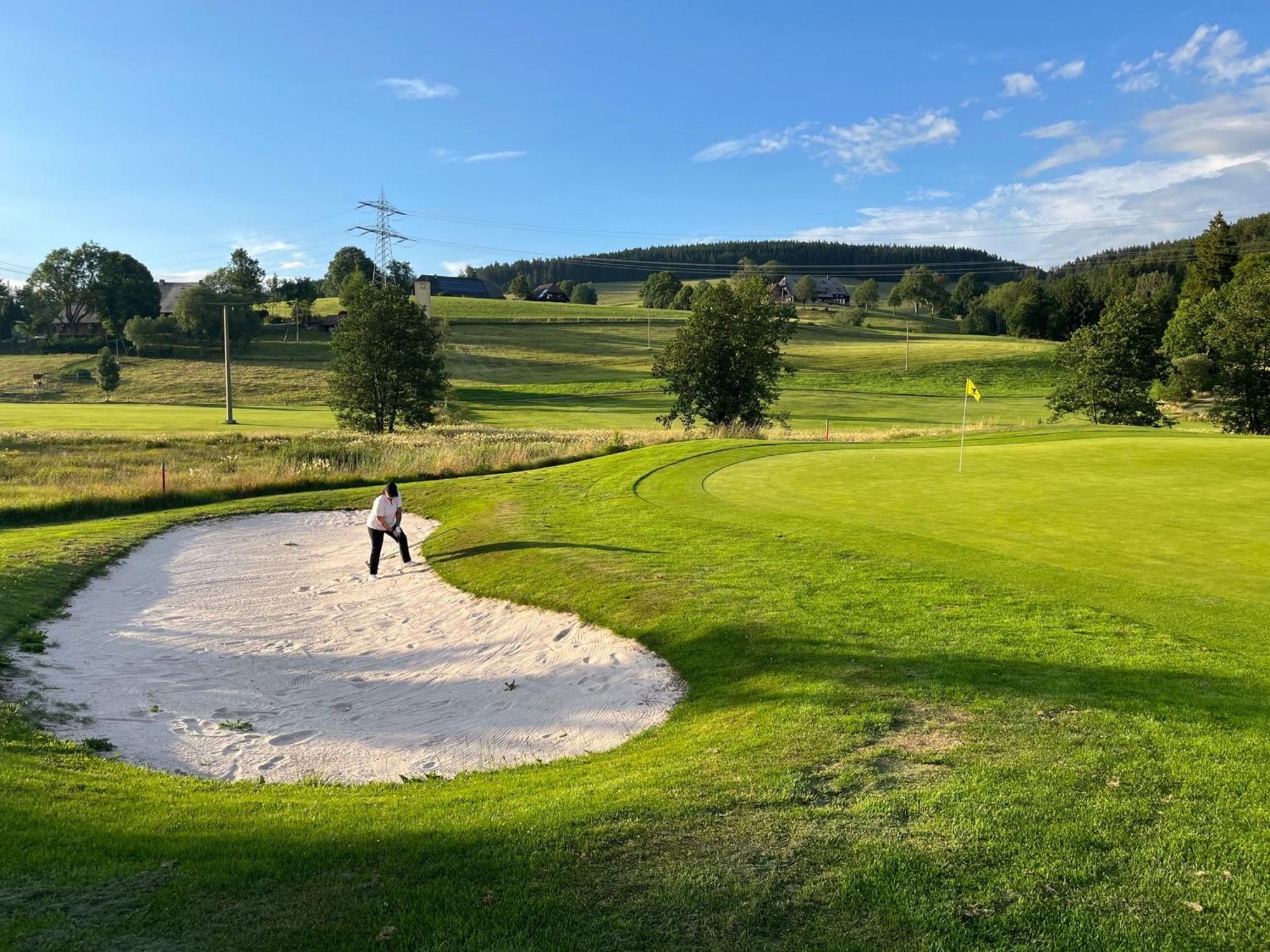Hotel Zartenbach Hinterzarten Kültér fotó
