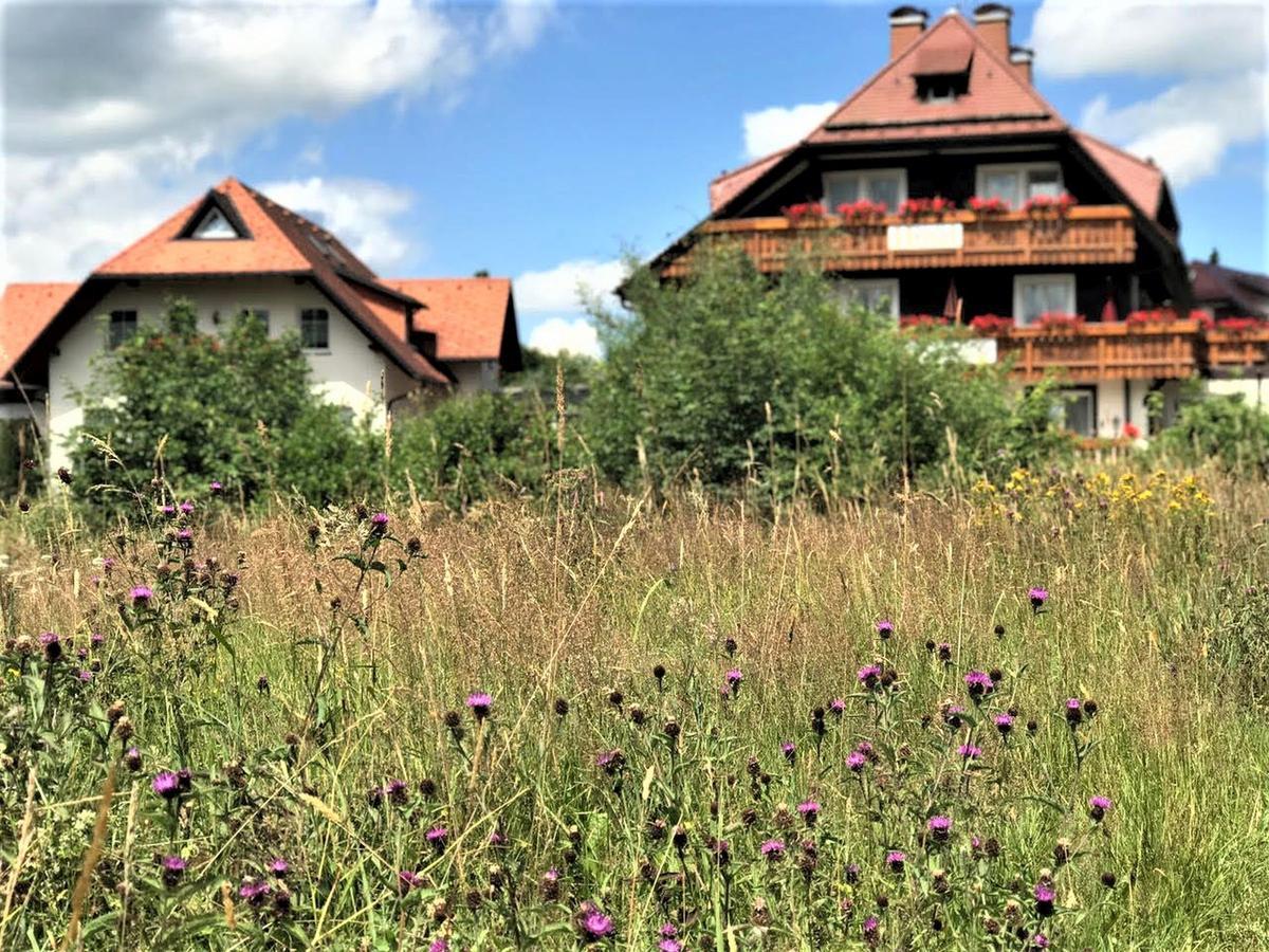 Hotel Zartenbach Hinterzarten Kültér fotó
